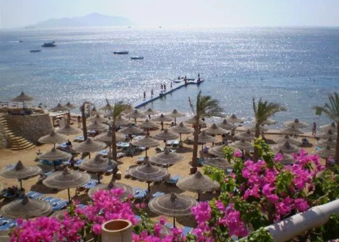 Island View Sarm es-Sejk